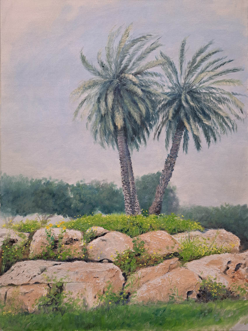 דקלים 60X43